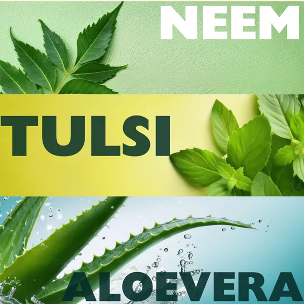 Luv Kush Pure Neem, Tulsi & Aloe Vera Handmade Herbal Soap – 80 g, Handmade Soaps (image 3)